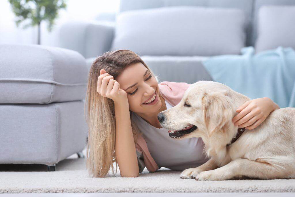 accredited online vet tech programs top schools in 2019 veterinary tech classes