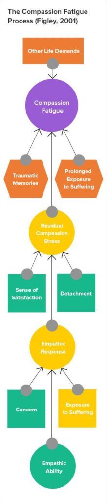 The-Compassion-Fatigue-process