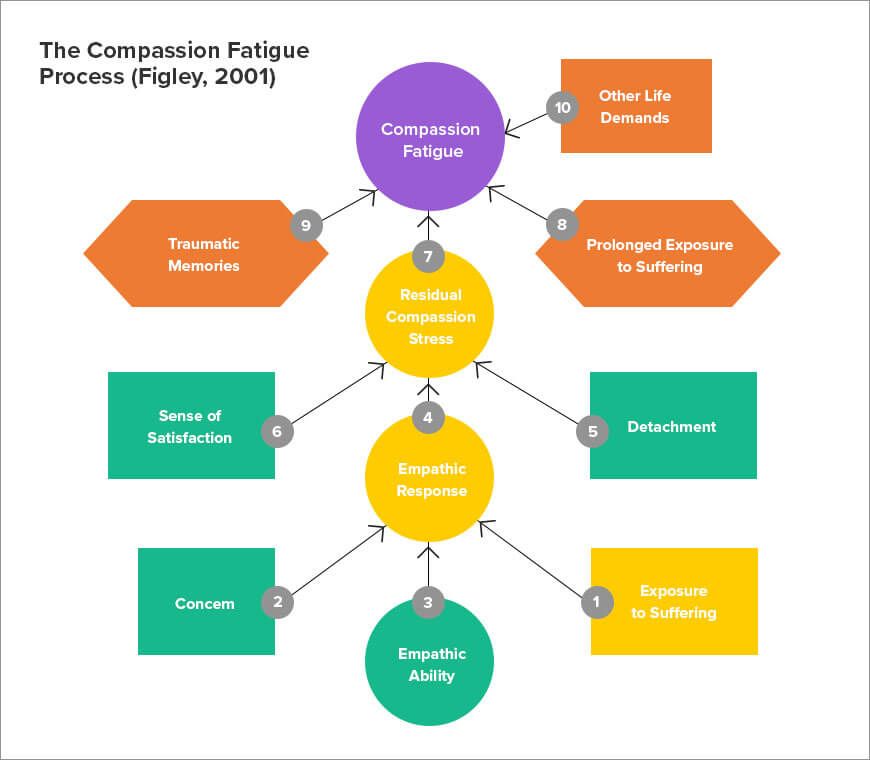 The-Compassion-Fatigue-process