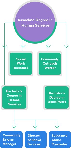 associate-human-chart