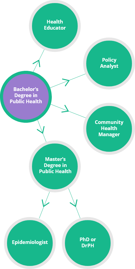 public-health-bachelor-chart