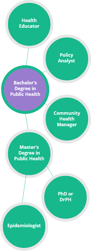 public-health-bachelor-chart