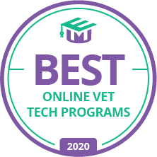 Online Vet Tech Programs: Inside Top Accredited Schools