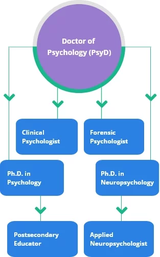 career diagram