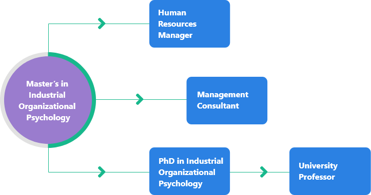 phd industrial organizational psychology