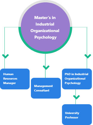 phd in industrial organizational psychology online