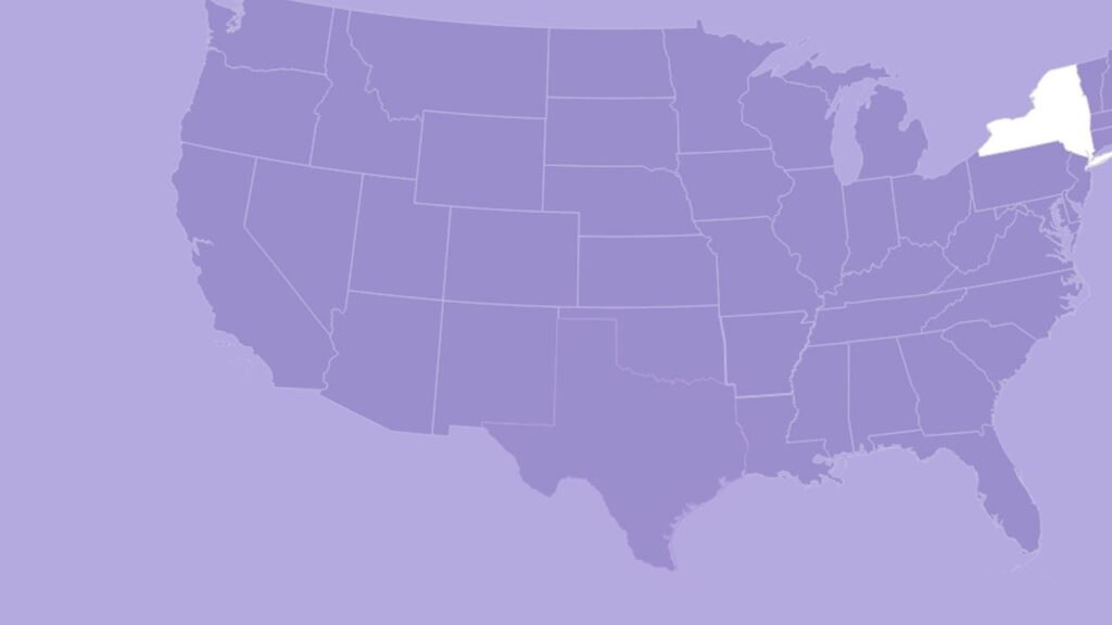 Best Nursing Programs in New York for 2024 Online & Campus Picks Near You