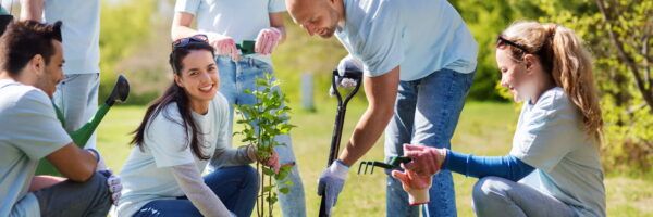 A group of cheerful volunteers planting trees in a sunny park, with one woman smiling at the camera as she supports a young tree, surrounded by others digging and preparing the soil to promote sustainable practices.