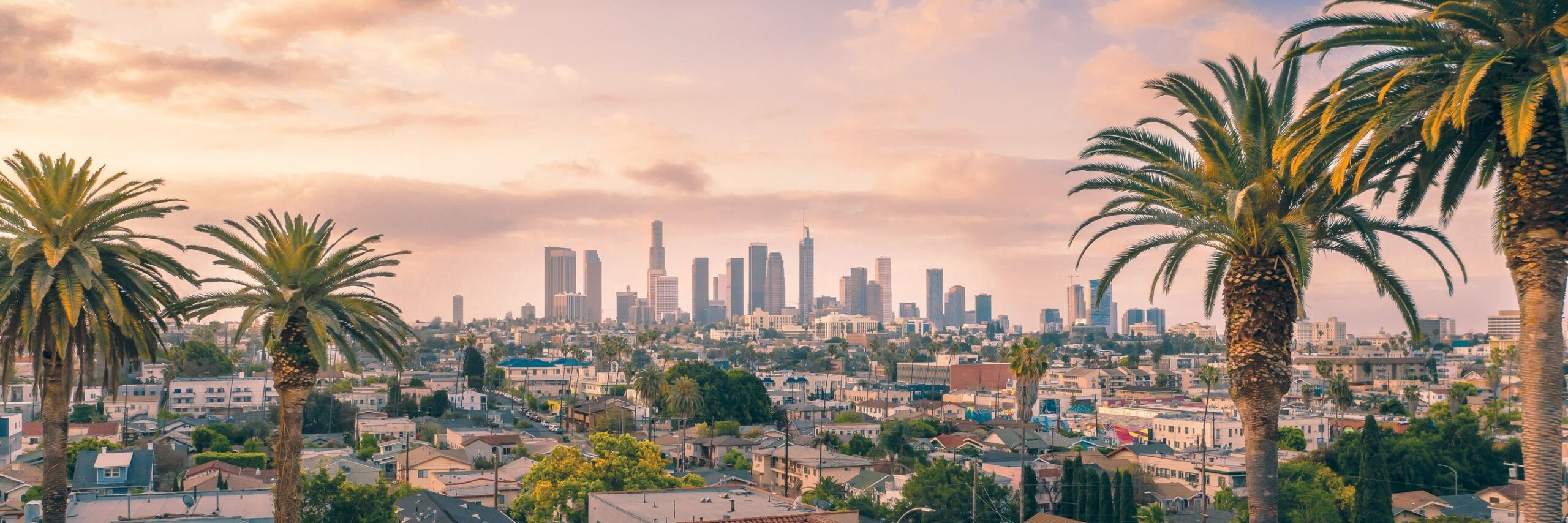 Panoramic view of a cityscape at sunset featuring skyscrapers and palm trees in Dallas, illustrating a blend of urban and tropical elements.