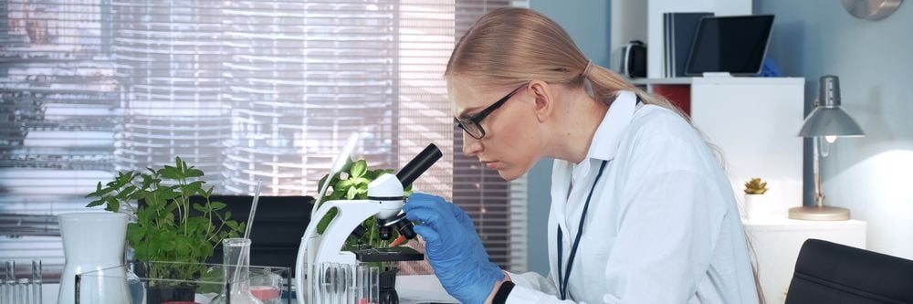 A scientist in a lab coat and glasses examines a plant sample under a microscope in a well-lit laboratory setting, with other green plants nearby.